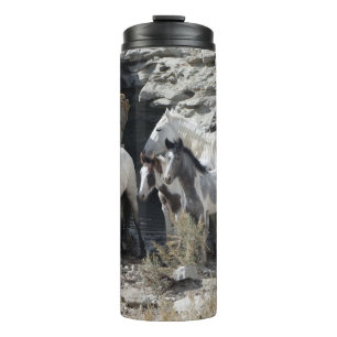 Sand Wash Basin Rock Cut Waterhole Thermal Tumbler