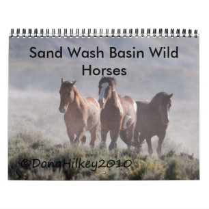 Sand Wash Basin Wild Horse Calander Calendar