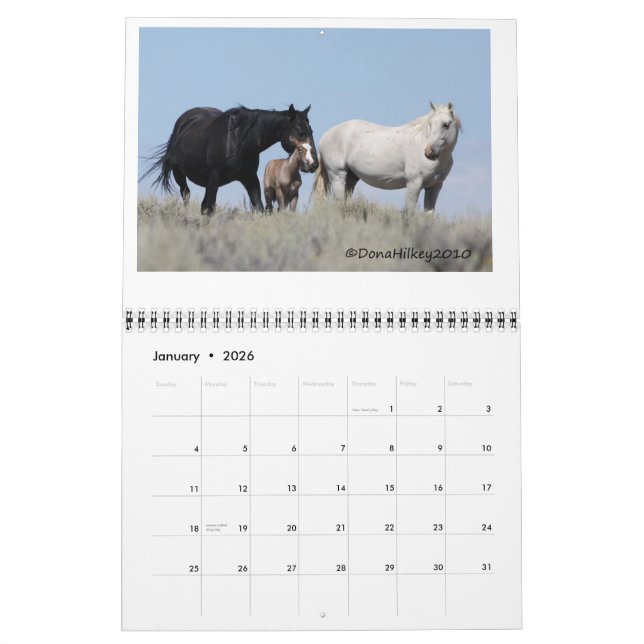 Sand Wash Basin Wild Horse Calander Calendar (Jan 2026)