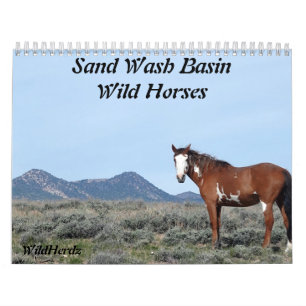 Sand Wash Basin Wild Horses Calendar