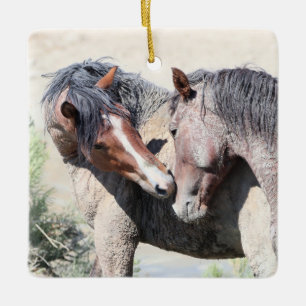 Sand Wash Basin Wild Horses Ceramic Ornament