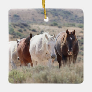 Sand Wash Basin Wild Horses Ceramic Ornament