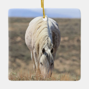 Sand Wash Basin Wild Horses Ceramic Ornament