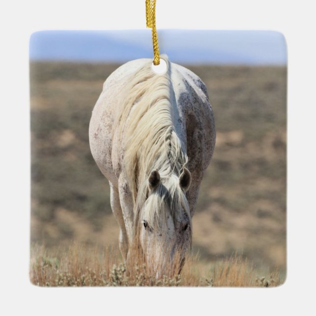 Sand Wash Basin Wild Horses Ceramic Ornament (Front)