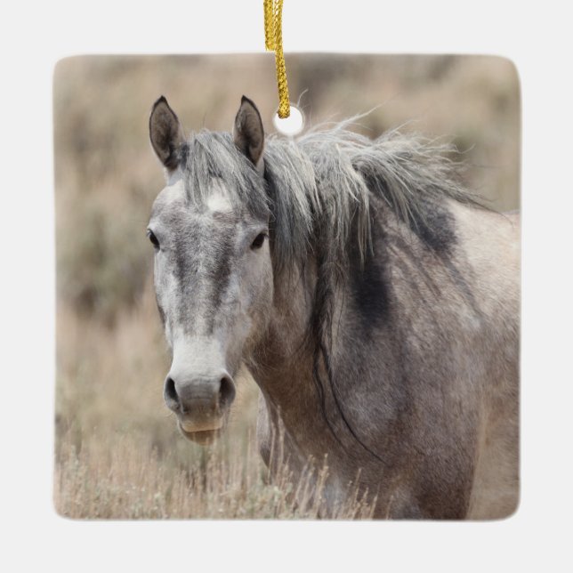 Sand Wash Basin Wild Horses Ceramic Ornament (Front)