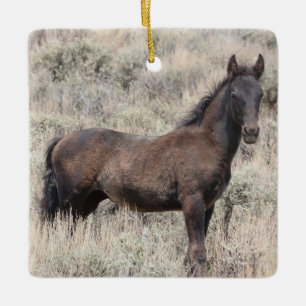 Sand Wash Basin Wild Horses Ceramic Ornament