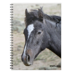 Sand Wash Basin's Poseidon Notebook