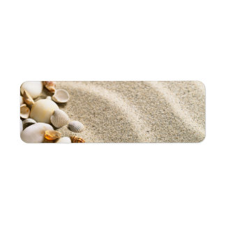 Sand With Shells And Stones. Beach Composition