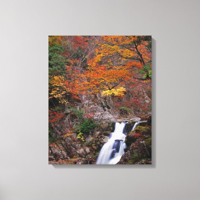 Sandankyo Waterfall in Autumn Canvas Print (Front)