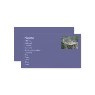 Sandbank Mushroom Business Cards