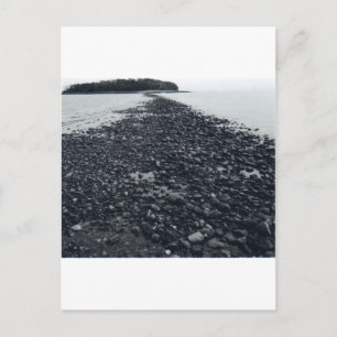 Sandbar Postcard