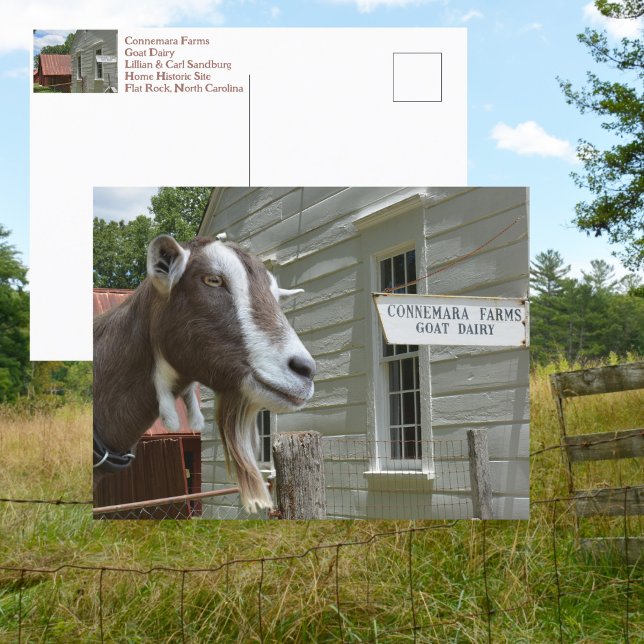 Sandburg Connemara Farms Goat Dairy Photographic Postcard (Creator Uploaded)