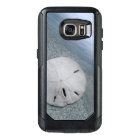 Sanddollar on Beach | Sanibel Island, Florida