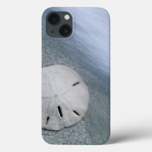 Sanddollar on Beach Sanibel Island, Florida iPhone 13 Case