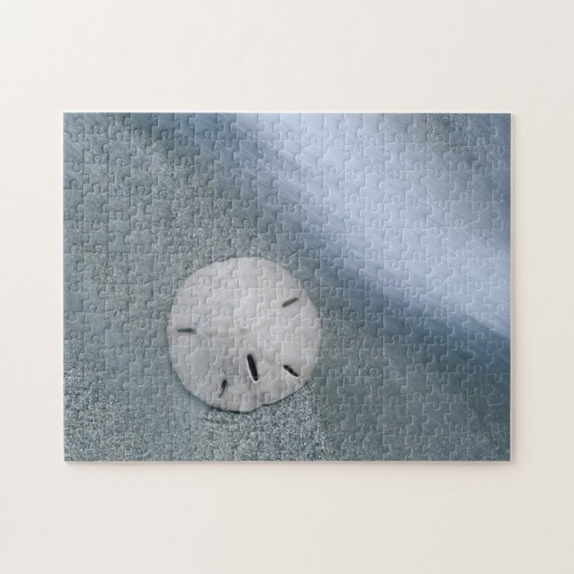Sanddollar on Beach | Sanibel Island, Florida Jigsaw Puzzle (Horizontal)
