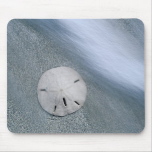 Sanddollar on Beach Sanibel Island, Florida Mouse Mat