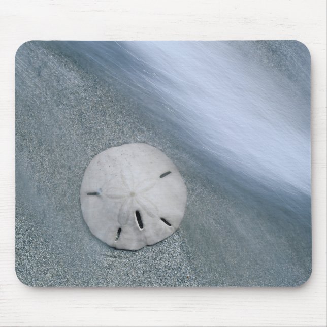 Sanddollar on Beach | Sanibel Island, Florida Mouse Mat (Front)
