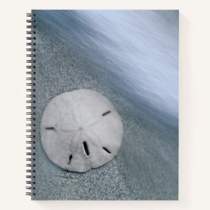 Sanddollar on Beach   Sanibel Island, Florida Notebook