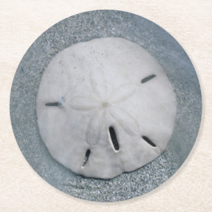 Sanddollar on Beach Sanibel Island, Florida Round Paper Coaster
