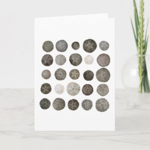 Sanddollars Note Card