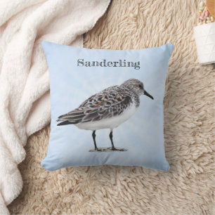 Sanderling Cushion