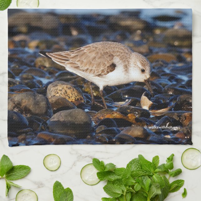 Sanderling Dines on Clam at the Beach Tea Towel (Folded)