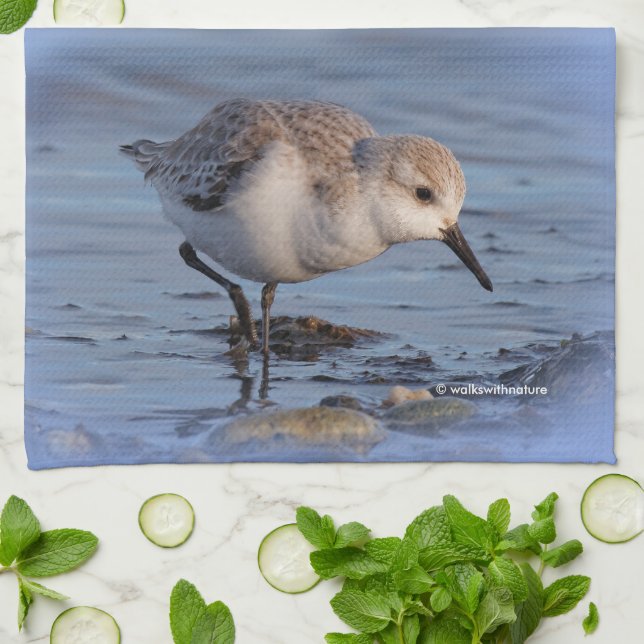 Sanderling Strolling a Winter Beach Tea Towel (Folded)