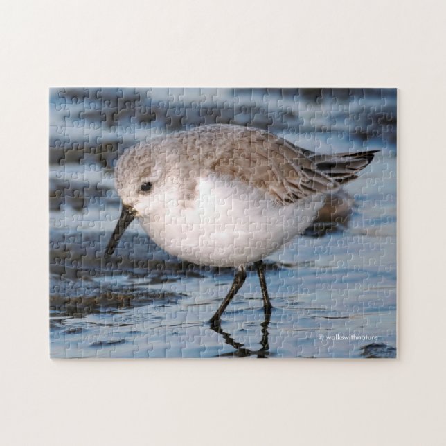 Sanderling Strolling on a Winter Beach Jigsaw Puzzle (Horizontal)