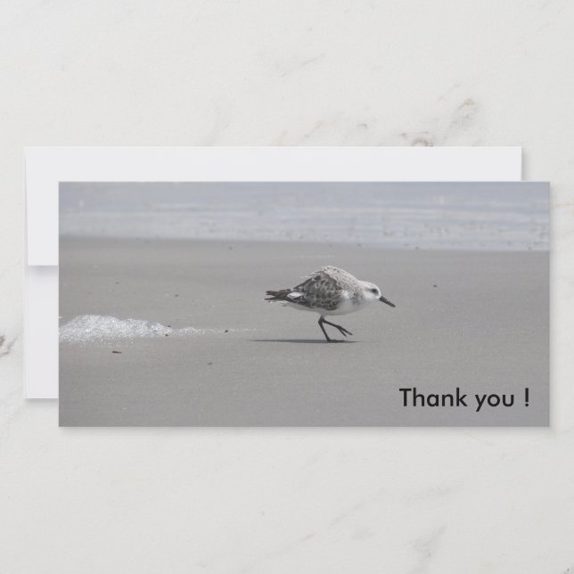 Sanderling, Thank you ! Card (Front)