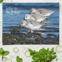 Sanderlings Feasting in Staggered Synchronicity