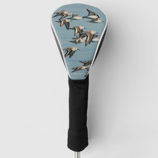 Sanderlings Take Flight in the Winter Skies Golf Head Cover (Front)