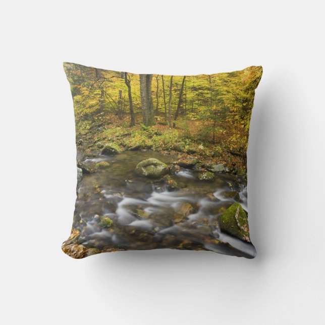 Sanderson Brook.  Chester-Blanford State Forest. Cushion (Front)