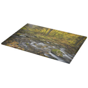 Sanderson Brook.  Chester-Blanford State Forest. Cutting Board