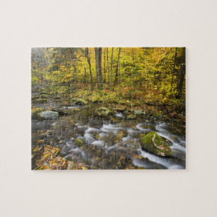 Sanderson Brook. Chester-Blanford State Forest. Jigsaw Puzzle