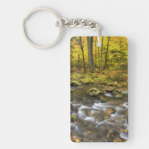 Sanderson Brook.  Chester-Blanford State Forest. Key Ring