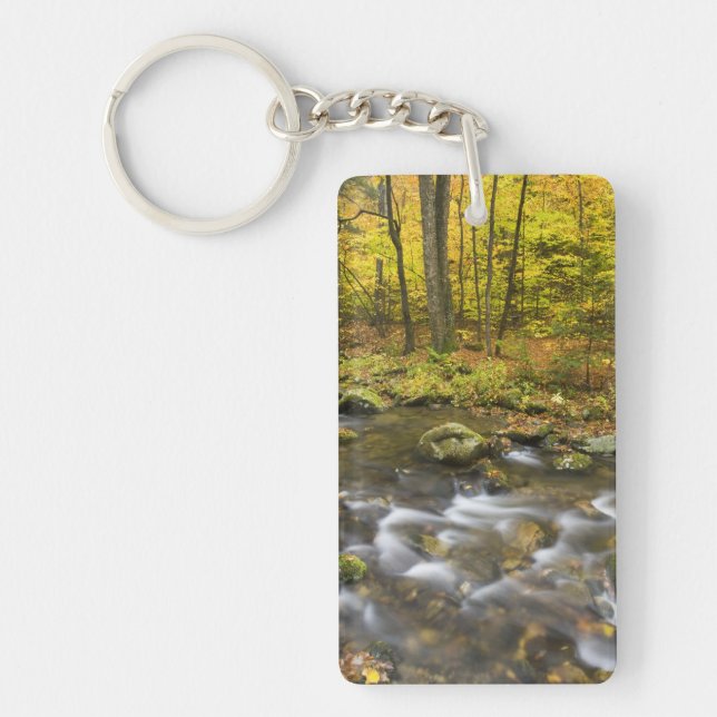 Sanderson Brook.  Chester-Blanford State Forest. Key Ring (Front)
