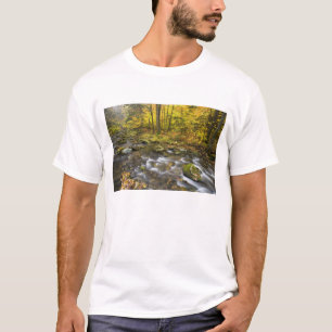 Sanderson Brook.  Chester-Blanford State Forest. T-Shirt