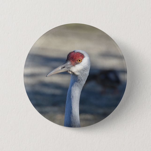 Sandhill Crane 6 Cm Round Badge (Front)