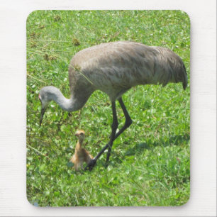 Sandhill Crane and Chick Mouse Mat