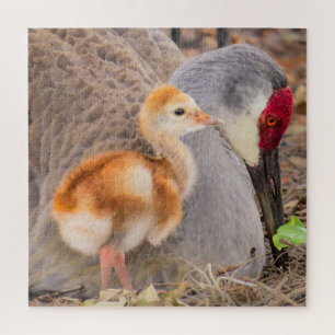 Sandhill crane and cute chick jigsaw puzzle