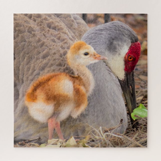 Sandhill crane and cute chick jigsaw puzzle (Vertical)