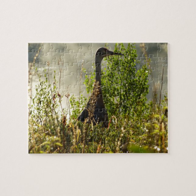 Sandhill Crane at Moose Ponds in Grand Teton Jigsaw Puzzle (Horizontal)