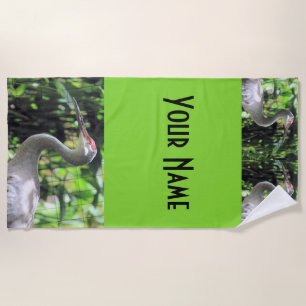 Sandhill crane beach towel