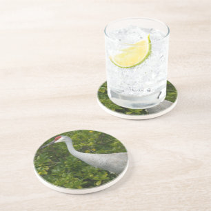Sandhill Crane Bird Photo Coaster