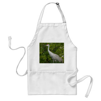 Sandhill Crane Bird Photo Standard Apron