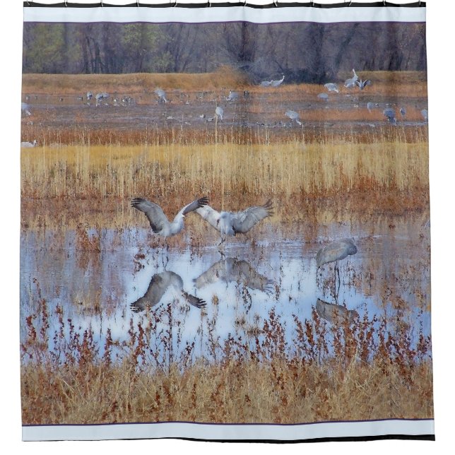 Sandhill Crane Birds Wildlife Animal Shower Curtain (Front)