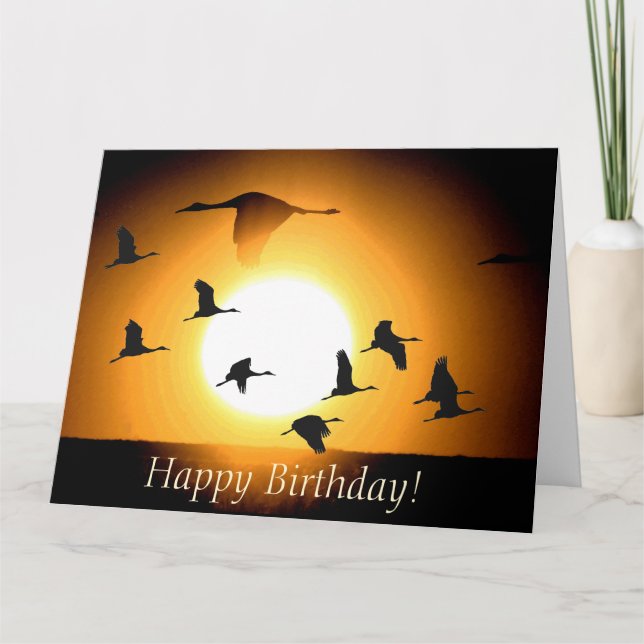 Sandhill Crane Birds Wildlife Animals Birthday Card (Front)