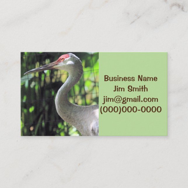Sandhill crane business card (Front)