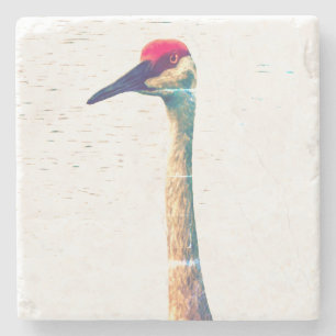 Sandhill Crane Coaster