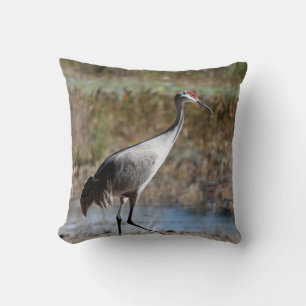 Sandhill Crane Cushion